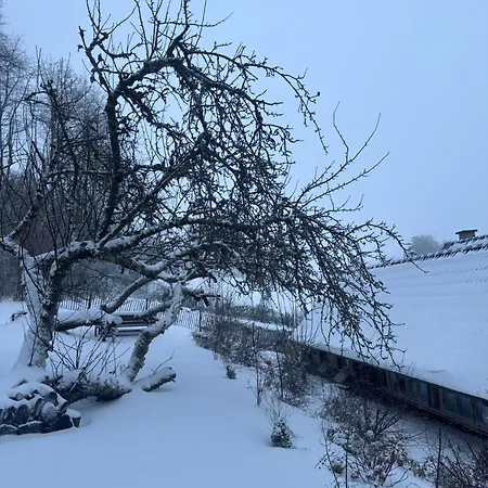 Blockhuette Engeln-eifel * Kempenich