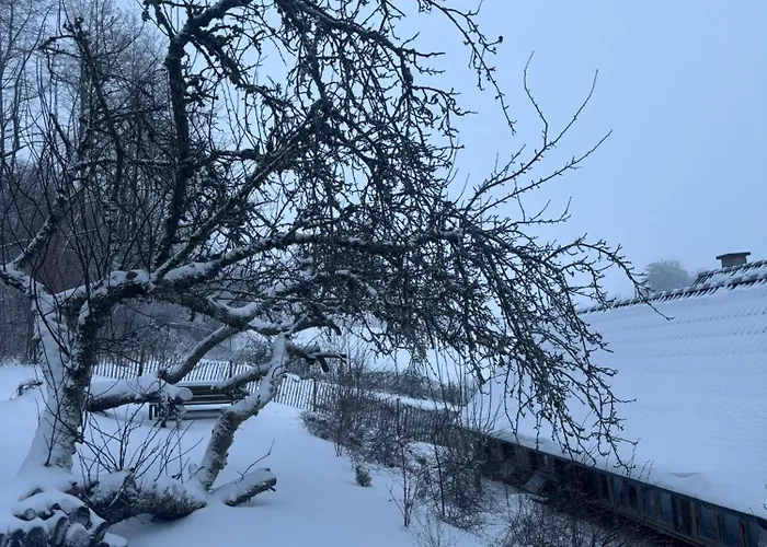 Blockhuette Engeln-eifel * Kempenich